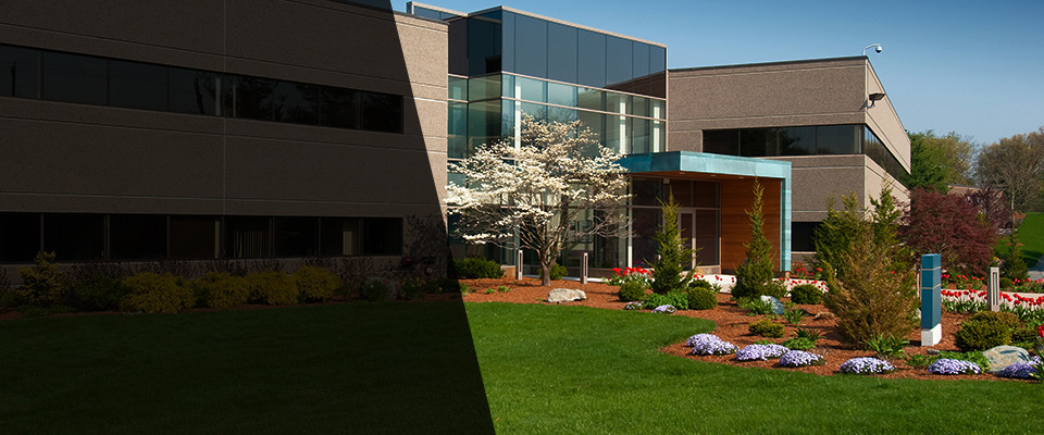 Oakville Landscapers