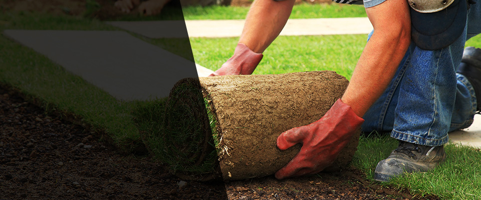 Oakville Landscapers